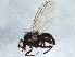  ( - BIOUG06295-D04)  @13 [ ] CreativeCommons - Attribution (2014) CBG Photography Group Centre for Biodiversity Genomics