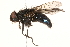  ( - BIOUG08204-C06)  @14 [ ] CreativeCommons - Attribution (2015) CBG Photography Group Centre for Biodiversity Genomics