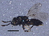  ( - BIOUG09412-D10)  @13 [ ] CreativeCommons - Attribution (2015) CBG Photography Group Centre for Biodiversity Genomics