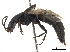  ( - BIOUG09622-H04)  @11 [ ] CreativeCommons - Attribution (2018) CBG Photography Group Centre for Biodiversity Genomics