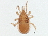  ( - BIOUG16759-E10)  @13 [ ] CreativeCommons - Attribution (2015) CBG Photography Group Centre for Biodiversity Genomics
