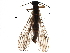  ( - BIOUG24307-A02)  @14 [ ] CreativeCommons - Attribution (2017) CBG Photography Group Centre for Biodiversity Genomics