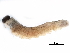  ( - BIOUG24413-E03)  @12 [ ] CreativeCommons - Attribution (2016) CBG Photography Group Centre for Biodiversity Genomics