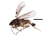  ( - BIOUG26809-H04)  @14 [ ] CreativeCommons - Attribution (2016) CBG Photography Group Centre for Biodiversity Genomics
