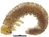  ( - BIOUG23331-G12)  @12 [ ] CreativeCommons - Attribution (2015) CBG Photography Group Centre for Biodiversity Genomics