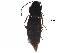 ( - BIOUG25378-F05)  @12 [ ] CreativeCommons - Attribution (2016) CBG Photography Group Centre for Biodiversity Genomics