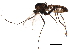  ( - BIOUG27571-F07)  @14 [ ] CreativeCommons - Attribution (2016) CBG Photography Group Centre for Biodiversity Genomics