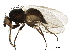  ( - BIOUG27172-E04)  @11 [ ] CreativeCommons - Attribution (2018) CBG Photography Group Centre for Biodiversity Genomics
