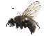  ( - BIOUG27472-B04)  @13 [ ] CreativeCommons - Attribution (2016) CBG Photography Group Centre for Biodiversity Genomics