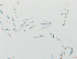  ( - LAR-180909-7062)  @11 [ ] CreativeCommons  Attribution (by)  Unspecified Unspecified