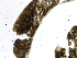  ( - LAR-180930-7503,7504)  @11 [ ] CreativeCommons  Attribution (by)  Unspecified Unspecified
