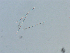  ( - LAR-180930-7510,7511,7517)  @11 [ ] CreativeCommons  Attribution (by)  Unspecified Unspecified