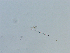  ( - LAR-180930-7510,7511,7517)  @11 [ ] CreativeCommons  Attribution (by)  Unspecified Unspecified