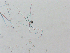  ( - LAR-191029-PA290222,0224)  @11 [ ] CreativeCommons  Attribution (by)  Unspecified Unspecified