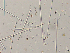  ( - LAR-191029-PA290222,0224)  @11 [ ] CreativeCommons  Attribution (by)  Unspecified Unspecified