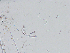  ( - LAR-191029-PA290222,0224)  @11 [ ] CreativeCommons  Attribution (by)  Unspecified Unspecified