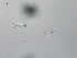  ( - LAR-191029-PA290222,0224)  @11 [ ] CreativeCommons  Attribution (by)  Unspecified Unspecified