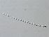  (Phorbas - LAR-191116-PB160423,24,25)  @11 [ ] CreativeCommons  Attribution (by)  Unspecified Unspecified