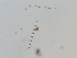  ( - LAR-191116-PB160445,47,48)  @11 [ ] CreativeCommons  Attribution (by)  Unspecified Unspecified
