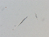  ( - LAR-191116-PB160445,47,48)  @11 [ ] CreativeCommons  Attribution (by)  Unspecified Unspecified