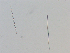  ( - LAR-191116-PB160445,47,48)  @11 [ ] CreativeCommons  Attribution (by)  Unspecified Unspecified