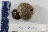  ( - P066-120425-1)  @11 [ ] CreativeCommons  Attribution (by)  Unspecified Unspecified