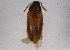  ( - BIOUG05861-G05)  @13 [ ] CreativeCommons - Attribution (2014) CBG Photography Group Centre for Biodiversity Genomics