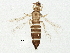  ( - BIOUG06352-D07)  @14 [ ] CreativeCommons - Attribution (2014) CBG Photography Group Centre for Biodiversity Genomics
