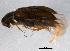  ( - BIOUG06498-A05)  @13 [ ] CreativeCommons - Attribution (2014) CBG Photography Group Centre for Biodiversity Genomics