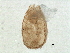  ( - BIOUG06514-E08)  @12 [ ] CreativeCommons - Attribution (2014) CBG Photography Group Centre for Biodiversity Genomics