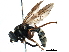  ( - BIOUG07835-H10)  @14 [ ] CreativeCommons - Attribution (2016) CBG Photography Group Centre for Biodiversity Genomics