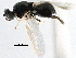 ( - BIOUG08198-C12)  @11 [ ] CreativeCommons - Attribution (2015) CBG Photography Group Centre for Biodiversity Genomics