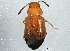  ( - BIOUG09090-H02)  @13 [ ] CreativeCommons - Attribution (2014) CBG Photography Group Centre for Biodiversity Genomics