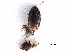  ( - BIOUG21726-D12)  @12 [ ] CreativeCommons - Attribution (2017) CBG Photography Group Centre for Biodiversity Genomics