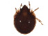  ( - BIOUG21795-G11)  @14 [ ] CreativeCommons - Attribution (2015) CBG Photography Group Centre for Biodiversity Genomics