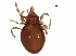  ( - BIOUG22424-H03)  @14 [ ] CreativeCommons - Attribution (2015) CBG Photography Group Centre for Biodiversity Genomics