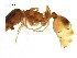  ( - BIOUG13182-G02)  @14 [ ] CreativeCommons - Attribution (2015) CBG Photography Group Centre for Biodiversity Genomics