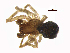  ( - BIOUG14256-G07)  @11 [ ] CreativeCommons - Attribution Share-Alike (2023) Unspecified Centre for Biodiversity Genomics