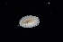  ( - 127484.1)  @11 [ ] CreativeCommons - Attribution Non-Commercial Share-Alike (2019) M. Malaquias University of Bergen, Natural History Collections