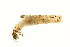 ( - 09PROBE-01667)  @12 [ ] CreativeCommons - Attribution (2009) Unspecified Centre for Biodiversity Genomics