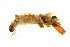  ( - 09PROBE-01693)  @12 [ ] CreativeCommons - Attribution (2009) Unspecified Centre for Biodiversity Genomics