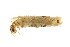  ( - 09PROBE-01698)  @12 [ ] CreativeCommons - Attribution (2009) Unspecified Centre for Biodiversity Genomics