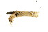  ( - 09PROBE-01717)  @12 [ ] CreativeCommons - Attribution (2009) Unspecified Centre for Biodiversity Genomics