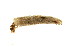  ( - 09PROBE-01718)  @12 [ ] CreativeCommons - Attribution (2009) Unspecified Centre for Biodiversity Genomics