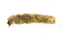  ( - 09PROBE-01719)  @12 [ ] CreativeCommons - Attribution (2009) Unspecified Centre for Biodiversity Genomics
