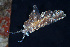  (Baeolidia australis - SWKI160)  @11 [ ] by-sa  Unspecified Unspecified