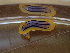  (Chromodoris colemani - SWRO030)  @11 [ ] by-sa  Unspecified Unspecified