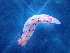  ( - SWRO118)  @11 [ ] by-sa  Unspecified Unspecified