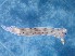  ( - SWRO130)  @11 [ ] by-sa  Unspecified Unspecified
