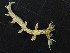  ( - SWRO147)  @11 [ ] by-sa  Unspecified Unspecified